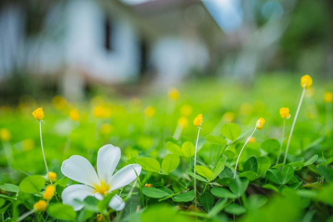 Bai Jai Garden Home Ao Nang 外观 照片